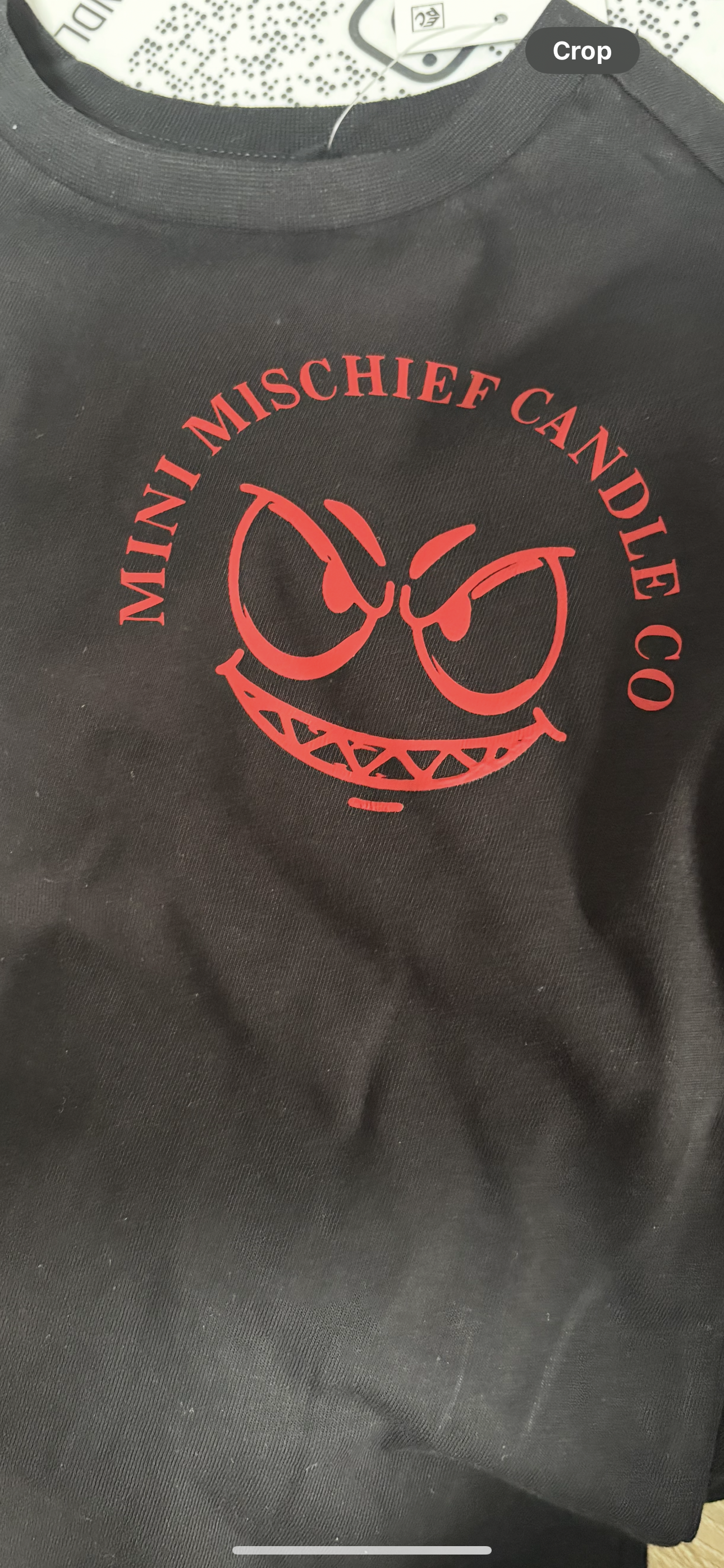 Kids Mini Mischief Tshirts